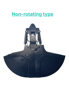Benna Bivalve