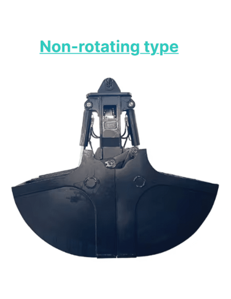 Benna Bivalve